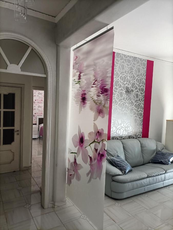 مبيت وإفطار كاستيلاّماري دي ستا Butterfly House المظهر الخارجي الصورة